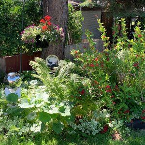 Meet your Posher, Diane